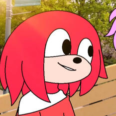 knuckles (tamers)